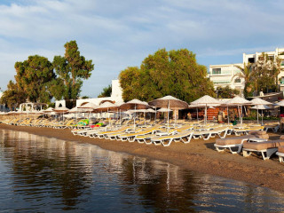 Domes Aulus Zante, Autograph Collection