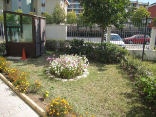 Royal Dreams Complex