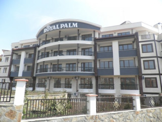 Royal Palm AH