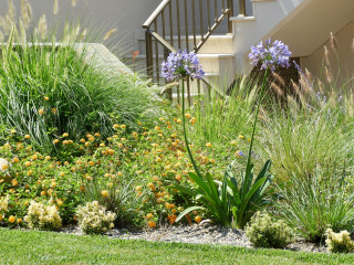 Royalty Suites Seaside