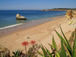 Ruby Red Apartment & Atlantic Blue Retreat