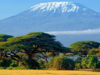 Safari in Parcurile Tsavo si Amboseli 3 nopti + Plaja 4 nopti