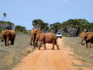 Safari Kenya si plaja Mombasa - Hotel Pinewood Beach Resort 4*