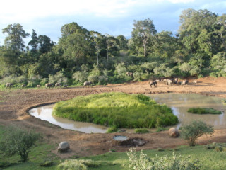 SAFARI TSAVO EST - TAITA HILLS & SEJUR 