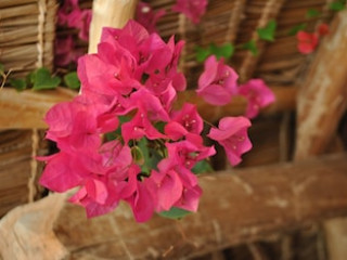 SEA VIEW LODGE BOUTIQUE HOTEL