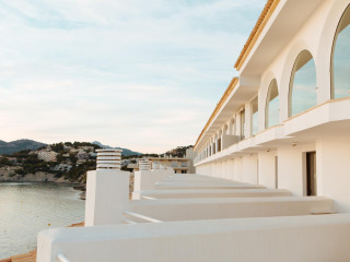 Sentido Fido Punta del Mar