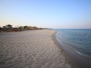 SHAMS LODGE