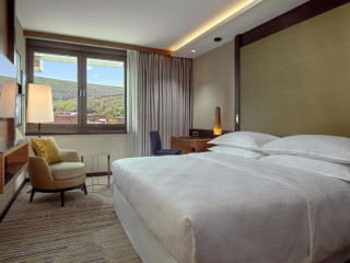 Sheraton Grand Tbilisi Metechi Palace