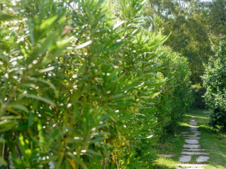 Skiathos Holidays Suites & Villas