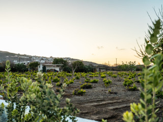 SN Santorini Apartments