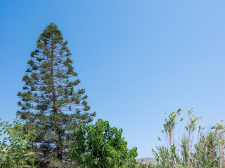 Spilia Suites Hotel Mykonos