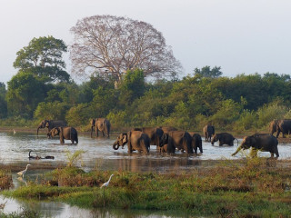 SRI LANKA – Mirodenii, Safari si Sejur PREMIUM TOURS