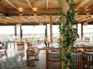 STELLA ISLAND (Adult Only)