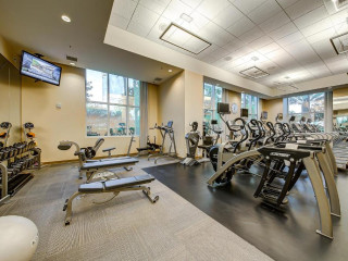 StripViewSuites at Signature