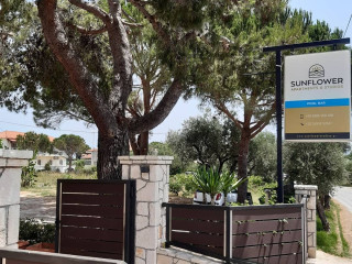 Sunflower Apartments & Studios