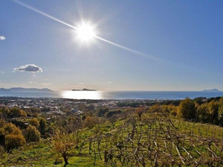 TENUTA LE FORNACELLE