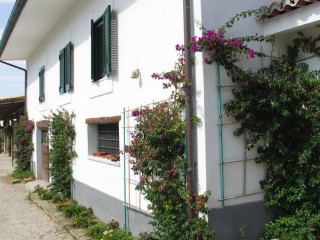 TENUTA MONTE SANT\'ANGELO