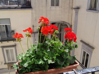 Terrazza Dei Principi