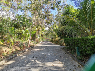 Thai Modern Resort and Spa