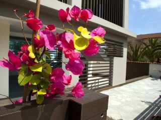 Thalassa Boutique Apartments