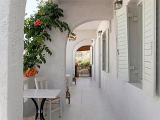 Thalia Bloom Apartments