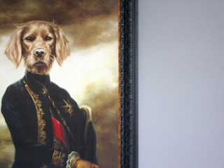 THE HAYDEN PUB AND ROOMS