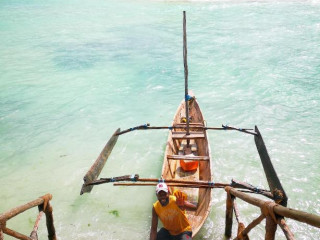 The Island Pongwe Lodge