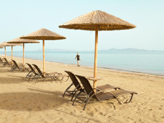 The Ixian Grand ( Adult Only )