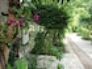 The Krabi Forest Homestay