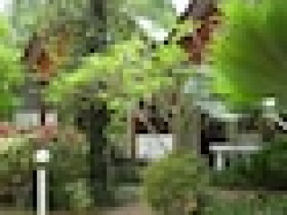 The Krabi Forest Homestay