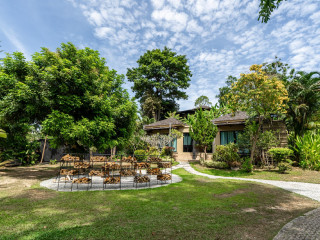 The Mangrove by Blu Monkey