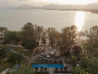 The Mangrove by Blu Monkey