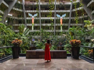 THE PYRAMID AT GRAND OASIS