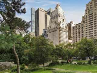 The Ritz-Carlton New York, Central Park