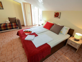 The Sea Coast - Adults Only