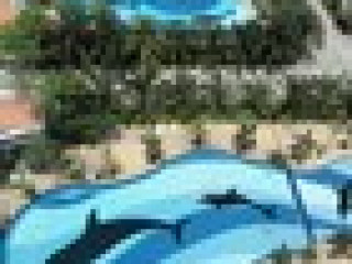 Thip Condotel F3 R339