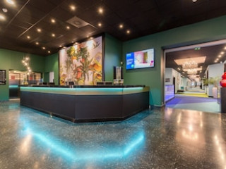 THON BRISTOL STEPHANIE