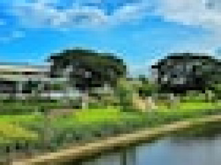 Tiny Island Lake Lodge