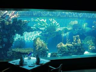 TITANIC MARDAN PALACE