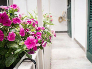 TOLEDO CLASS - B&B NAPLES