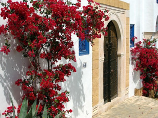 TUNISIA: Mirajul Africii de Nord | Circuit & Mini Sejur PREMIUM TOURS