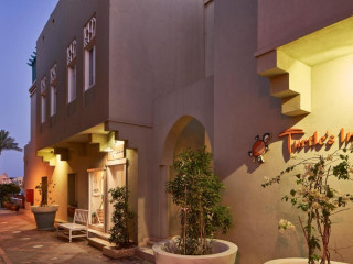 Turtle's Inn Hotel El Gouna