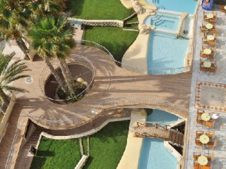 Kaktus Albir (Albir)