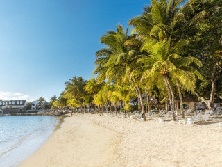 Ravenala Attitude (Family-friendly)