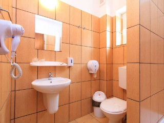 Hotel Domnitei