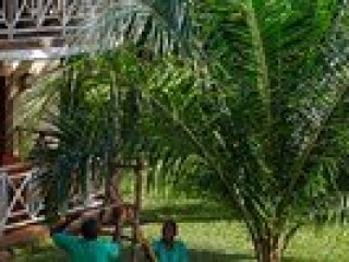 Neptune Palm Beach Resort