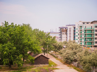Apartel Ginko
