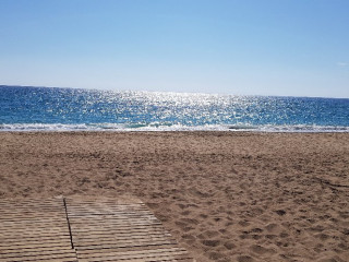 PALOMA FINESSE SIDE.