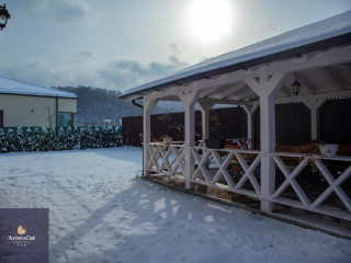 AristoCat Guesthouse..