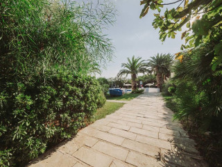 MEDITUR VILLAGE dublura